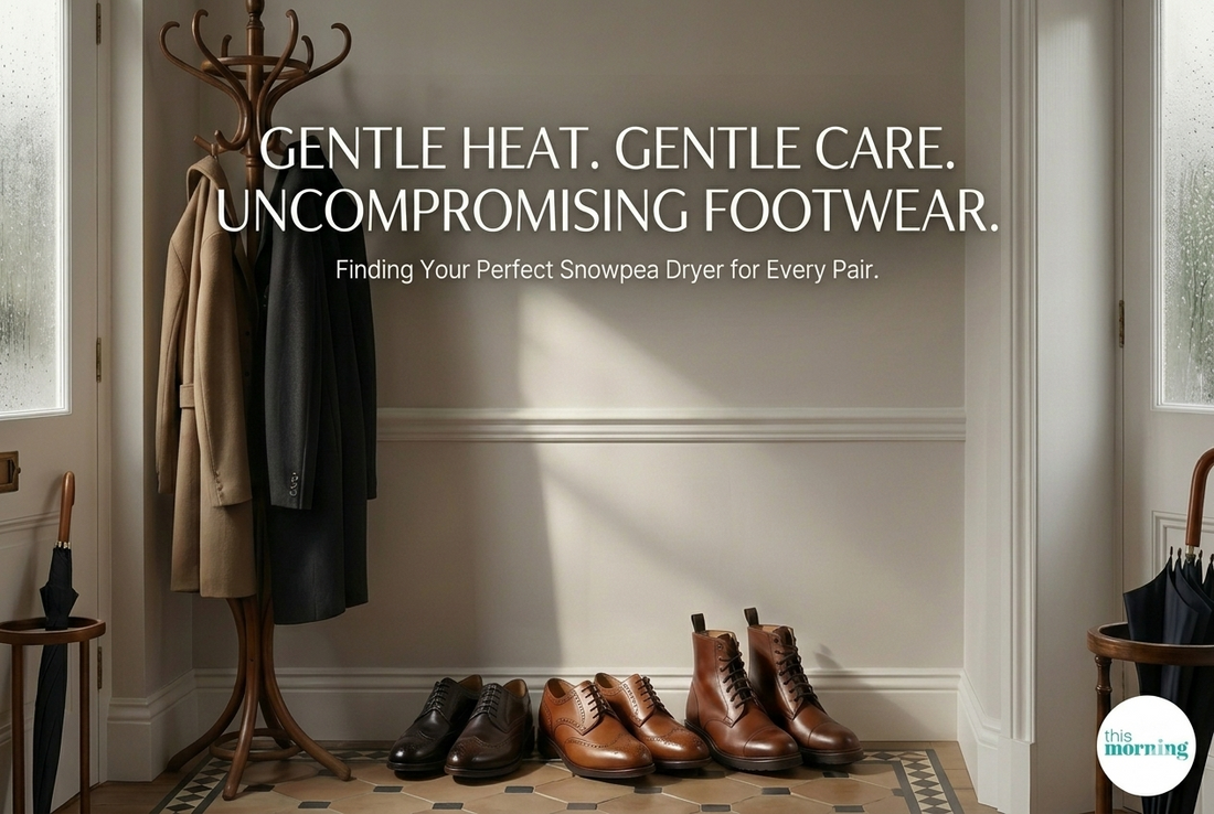 Snowpea electric shoe dryer gentle care for premium leather footwear