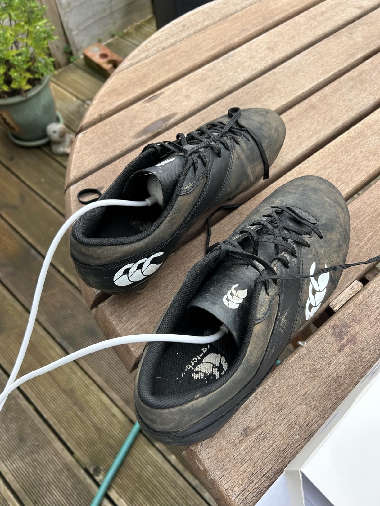 Electric Shoe Dryers As Seen on iTV This Morning - Basic