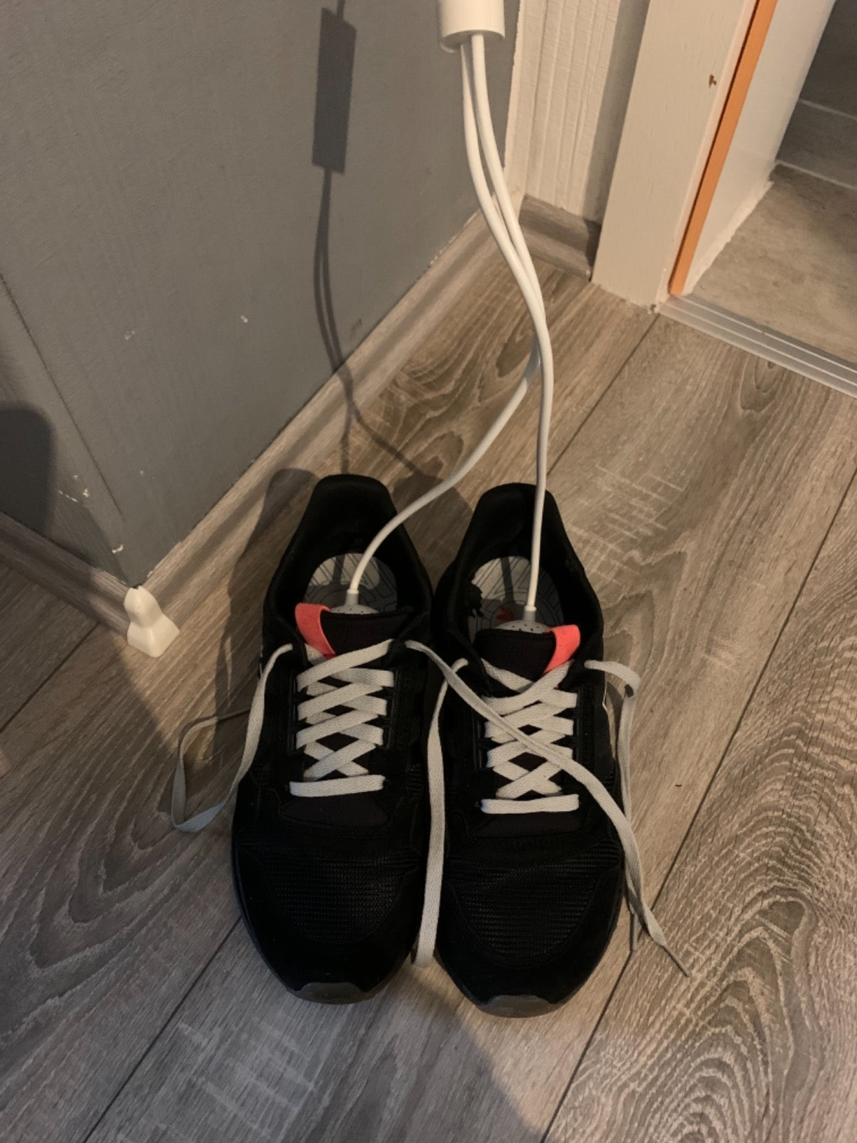 Electric Shoe Dryers As Seen on iTV This Morning - Basic
